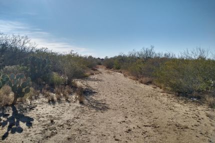 Farm and Ranch in Webb County, Texas