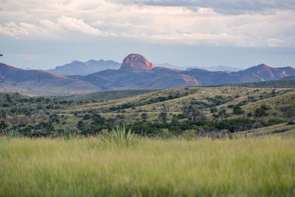 Farm and Ranch in Cochise County, Arizona