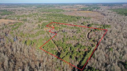 Recreational Property in Cass County, Texas