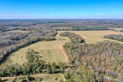 Timberland Property in Henry County, Tennessee