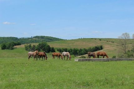 Lakefront Property in Ozark County, Missouri