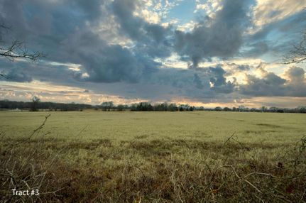 Timberland Property in Hopkins County, Texas