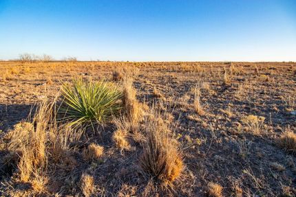 Farm and Ranch in Wheeler County, Texas