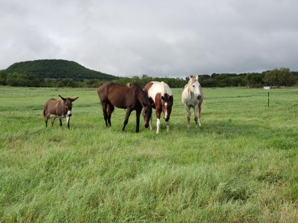 Recreational Property in Comanche County, Texas