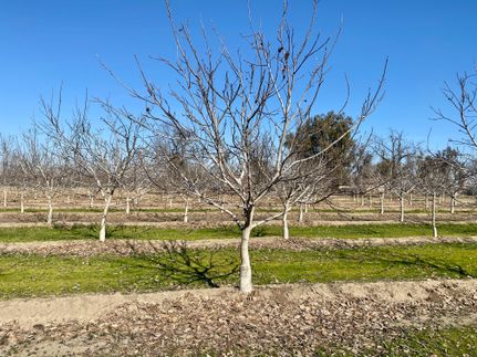 Recreational Property in Tulare County, California