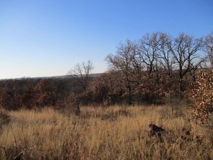 Recreational Property in Jack County, Texas