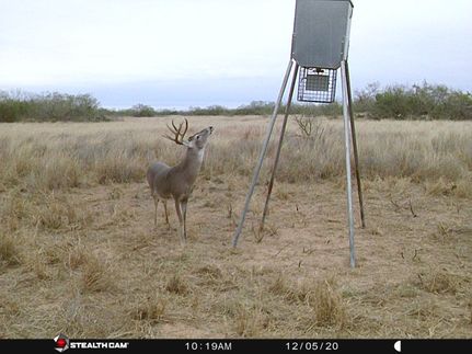 Recreational Property in Jim Hogg County, Texas