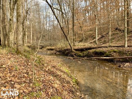 Timberland Property in Lee County, Alabama