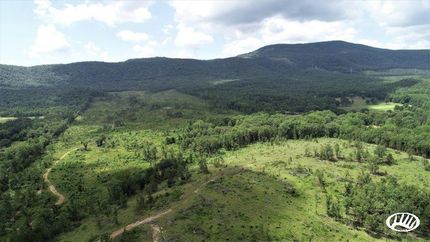 Undeveloped Land in Logan County, Arkansas