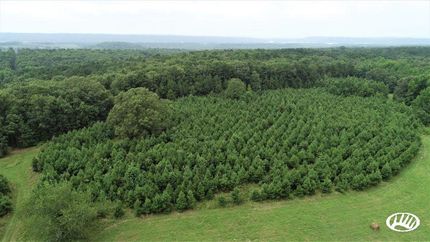 Undeveloped Land in Pope County, Arkansas