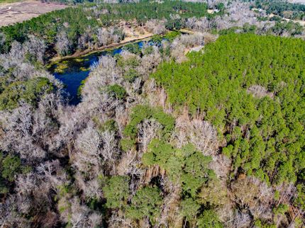 Farm and Ranch in Jefferson County, Florida