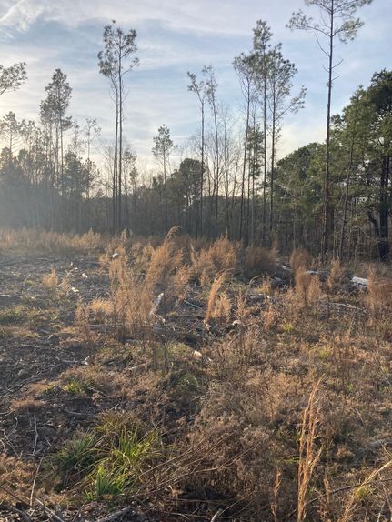 Farm and Ranch in Sabine County, Texas