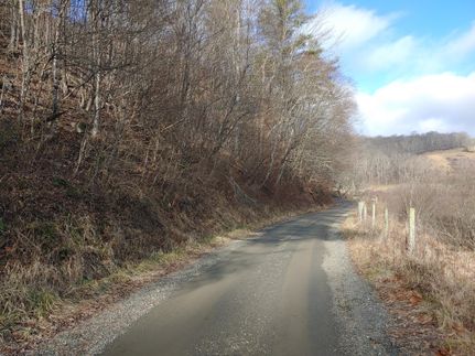 Timberland Property in Floyd County, Virginia