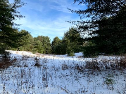 Undeveloped Land in Oswego County, New York