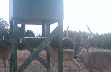 Farm and Ranch in Edwards County, Texas