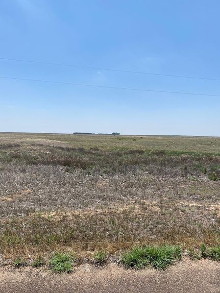 Timberland Property in Dallam County, Texas