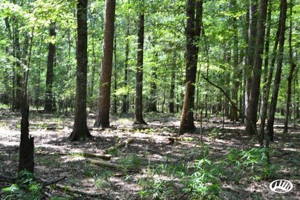 Homesite in Union County, Arkansas