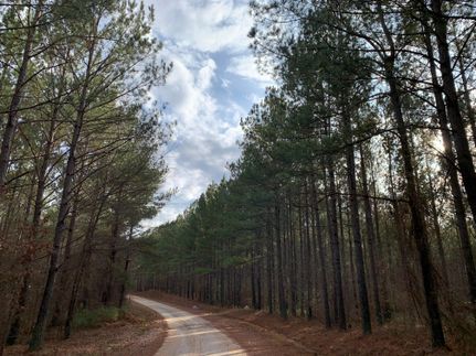 Land in Meriwether County, Georgia