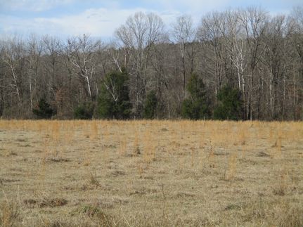 Farm and Ranch in Pontotoc County, Mississippi