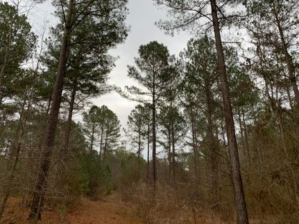 Farm and Ranch in Meriwether County, Georgia