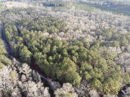 Timberland Property in Smith County, Mississippi
