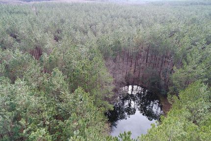 Timberland Property in Covington County, Mississippi