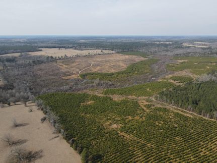 Timberland Property in Cass County, Texas