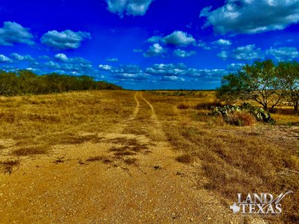 Farm and Ranch in Atascosa County, Texas