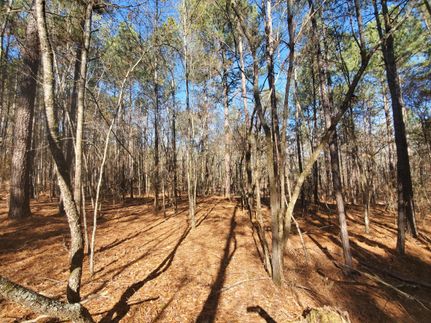 Farm and Ranch in Butts County, Georgia