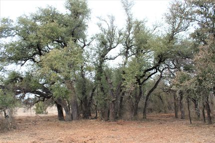 Farm and Ranch in Erath County, Texas
