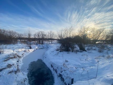 Timberland Property in Juneau County, Wisconsin