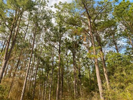Farm and Ranch in Houston County, Texas