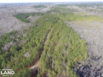 Recreational Property in Dillon County, South Carolina