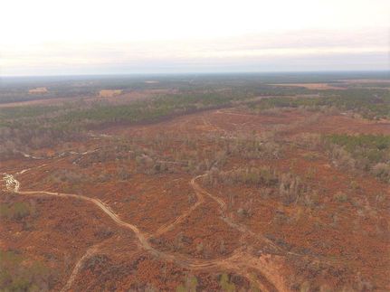 Undeveloped Land in Calhoun County, Arkansas
