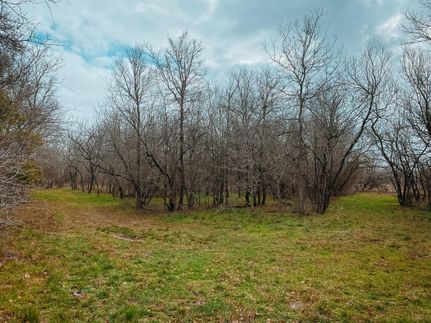 Hunting Property in Guadalupe County, Texas