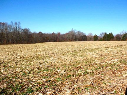 Undeveloped Land in Russell County, Kentucky