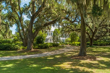 Timberland Property in Beaufort County, South Carolina