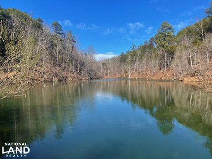 Undeveloped Land in Walker County, Alabama