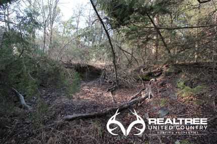 House in Bosque County, Texas