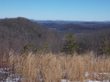 Undeveloped Land in Patrick County, Virginia