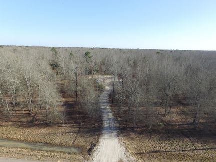 Undeveloped Land in San Jacinto County, Texas