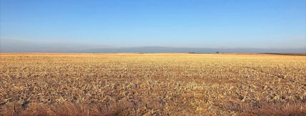 Land in Buena Vista County, Iowa