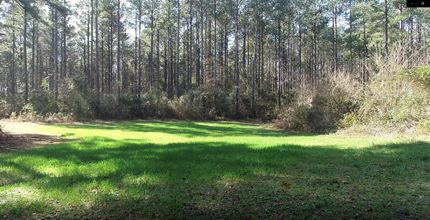 Timberland Property in Walthall County, Mississippi