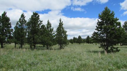 Farm and Ranch in Crook County, Wyoming