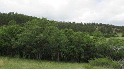 Recreational Property in Crook County, Wyoming