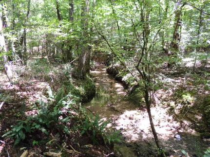 Land in Heard County, Georgia