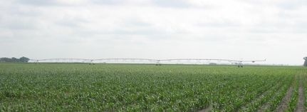 Farm and Ranch in Hall County, Nebraska