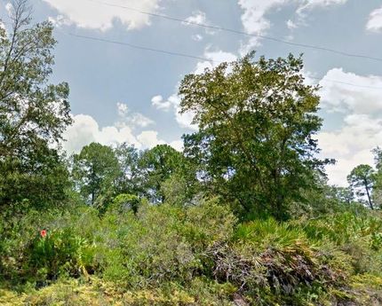 Farm and Ranch in Hendry County, Florida