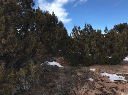 Farm and Ranch in Duchesne County, Utah