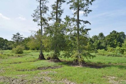 Land in Attala County, Mississippi